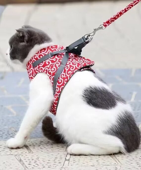 Cat leash set